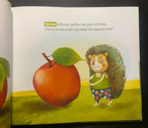 Kde je kto? — fotka 4