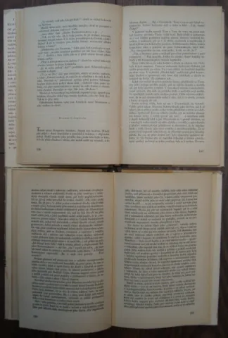 Buddenbrookovi 1+2 — fotka 2