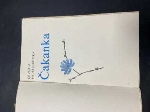 Čakanka — fotka 3