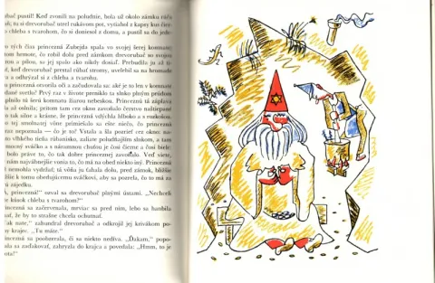 DEVÄTORO ROZPRÁVOK--Spisovateľ: Čapek Karel--lustroval Josef Čapek — fotka 4