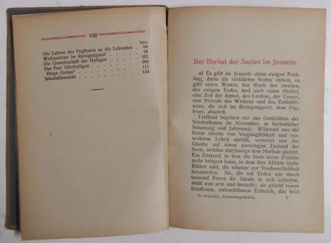 Der König dem alle leben 1919 — fotka 3