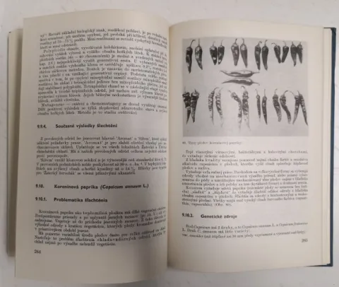 ŠLECHTĚNÍ ROSTLIN 1982 — fotka 4