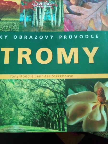 Stromy
