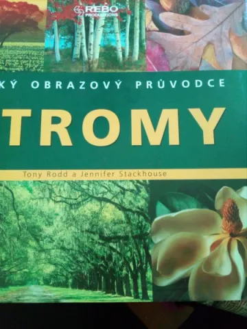 Stromy