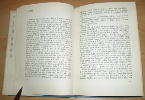 Bažantnice, — fotka 7