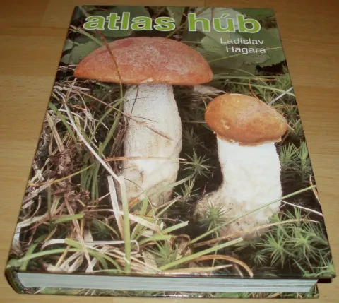 Atlas húb