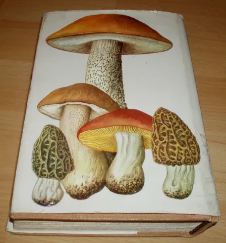 Huby lesov, polí a lúk — fotka 2