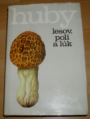 Huby lesov, polí a lúk — fotka 3