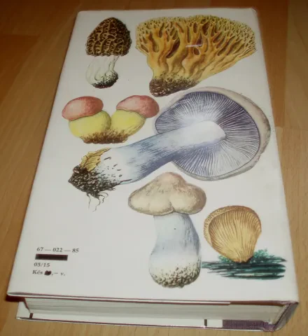 Malý atlas húb — fotka 2