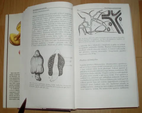 Malý atlas húb — fotka 7
