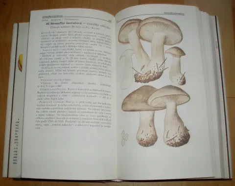 Malý atlas húb — fotka 9