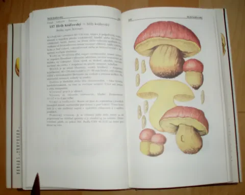 Malý atlas húb — fotka 11