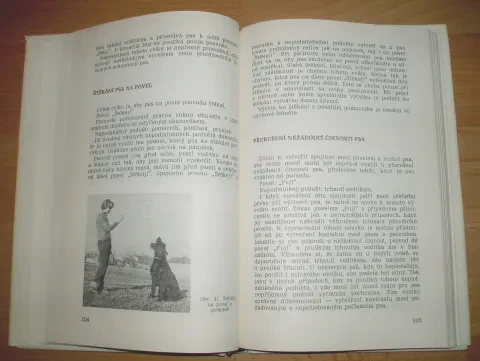 Výcvik psa — fotka 7