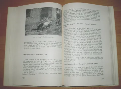 Výcvik psa — fotka 10