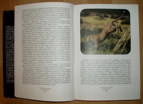 Za zvěří kolem sveta — fotka 5