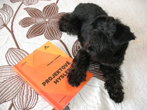 PROJEKTOVÉ MYSLENIE - Project Thinking (PTBOK Guide) — fotka 2