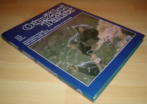 Otužilci Tatier — fotka 3