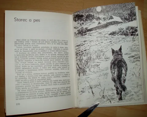 Na mieste činu — fotka 12