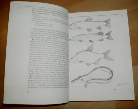 ABC športového rybára — fotka 6
