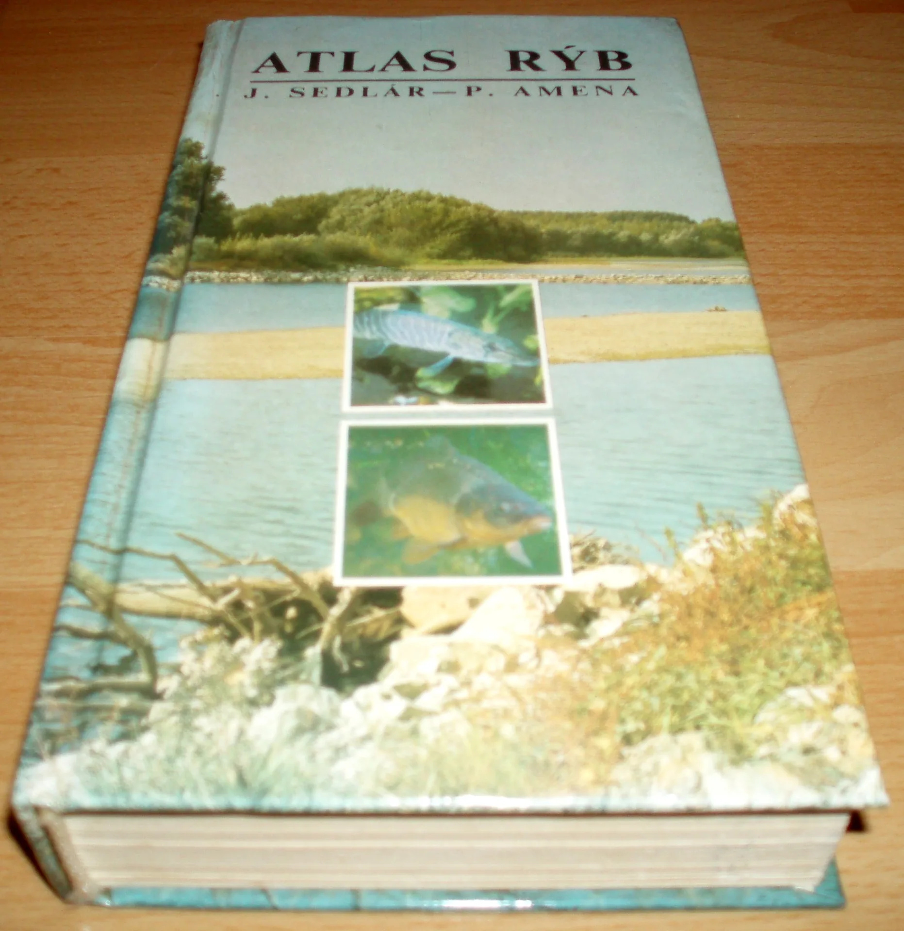 Atlas rýb