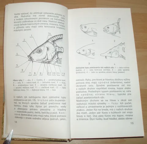 Atlas rýb — fotka 5