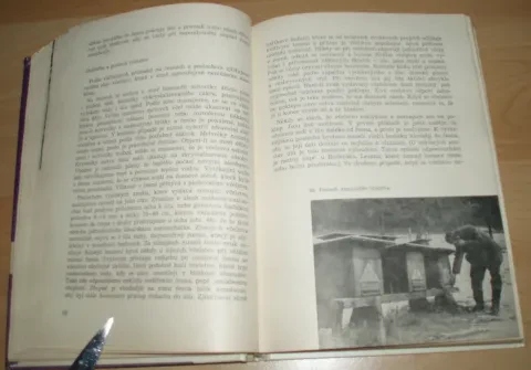 Včelářuv rok — fotka 10