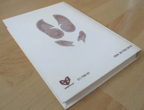 Skautské stopařství — fotka 2