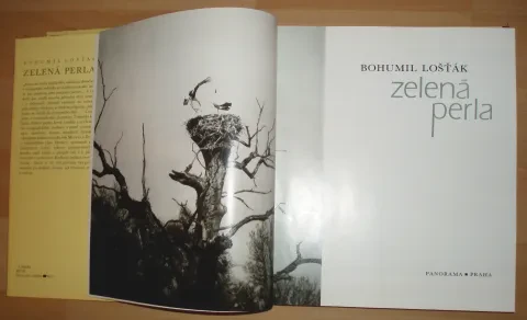 Zelená perla — fotka 4