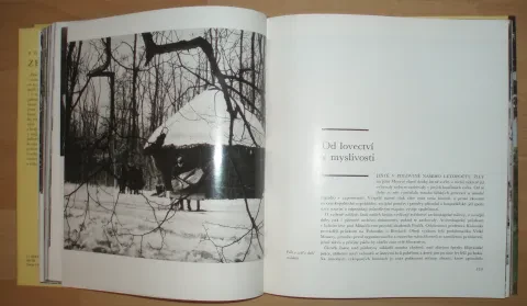 Zelená perla — fotka 8