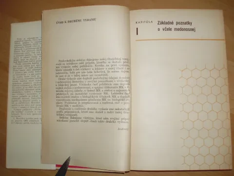 Včelia materská kašička — fotka 4