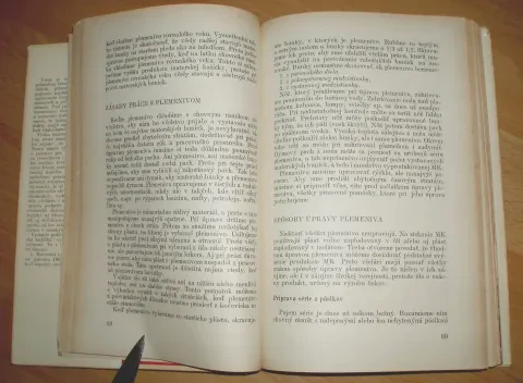 Včelia materská kašička — fotka 6