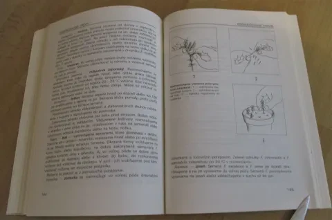 Vrúbľovanie, očkovanie, rozmnožovanie — fotka 11
