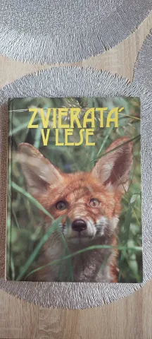 Zvieratá v lese