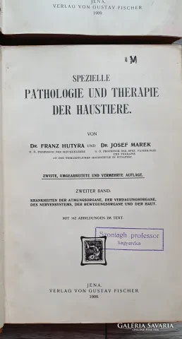 Spezielle Pathologie und Therapie der Haustiere Sechste Auflage - Zweiter Band