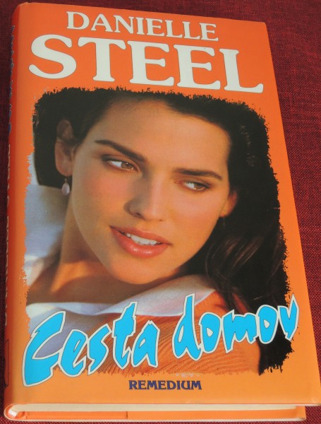 Cesta domov